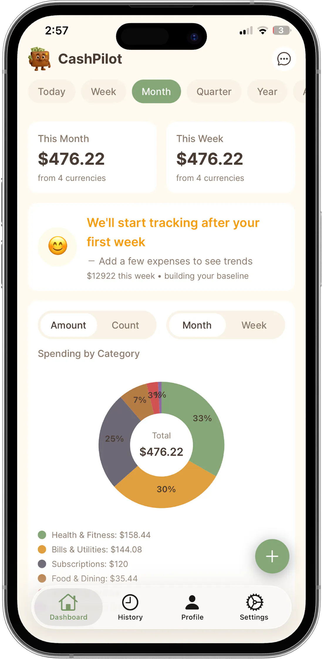 CashPilot 1